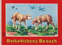 Rotkehlchen´s Besuch | 5028